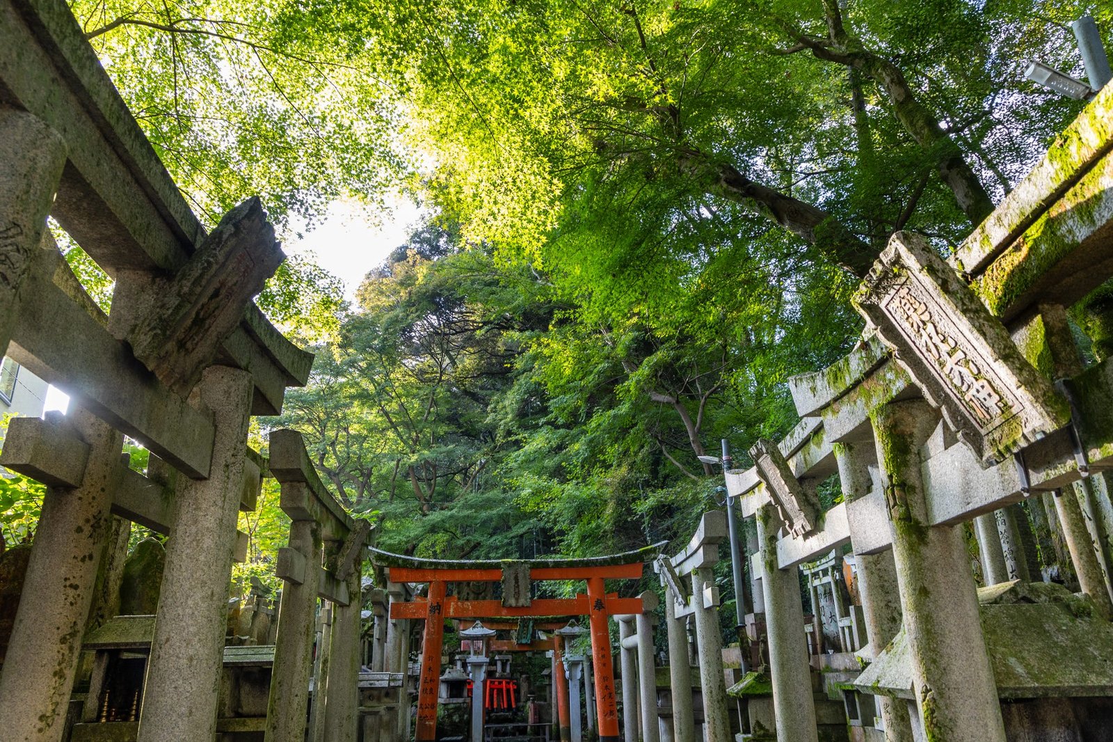 Cheap flights to Kyoto Osaka from UK