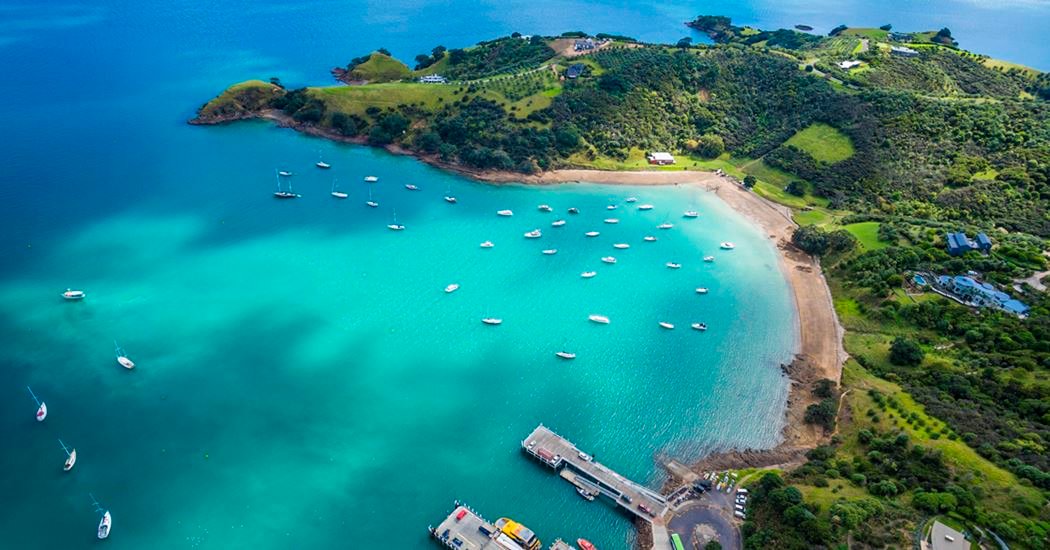 Waiheke Island vineyards from Auckland